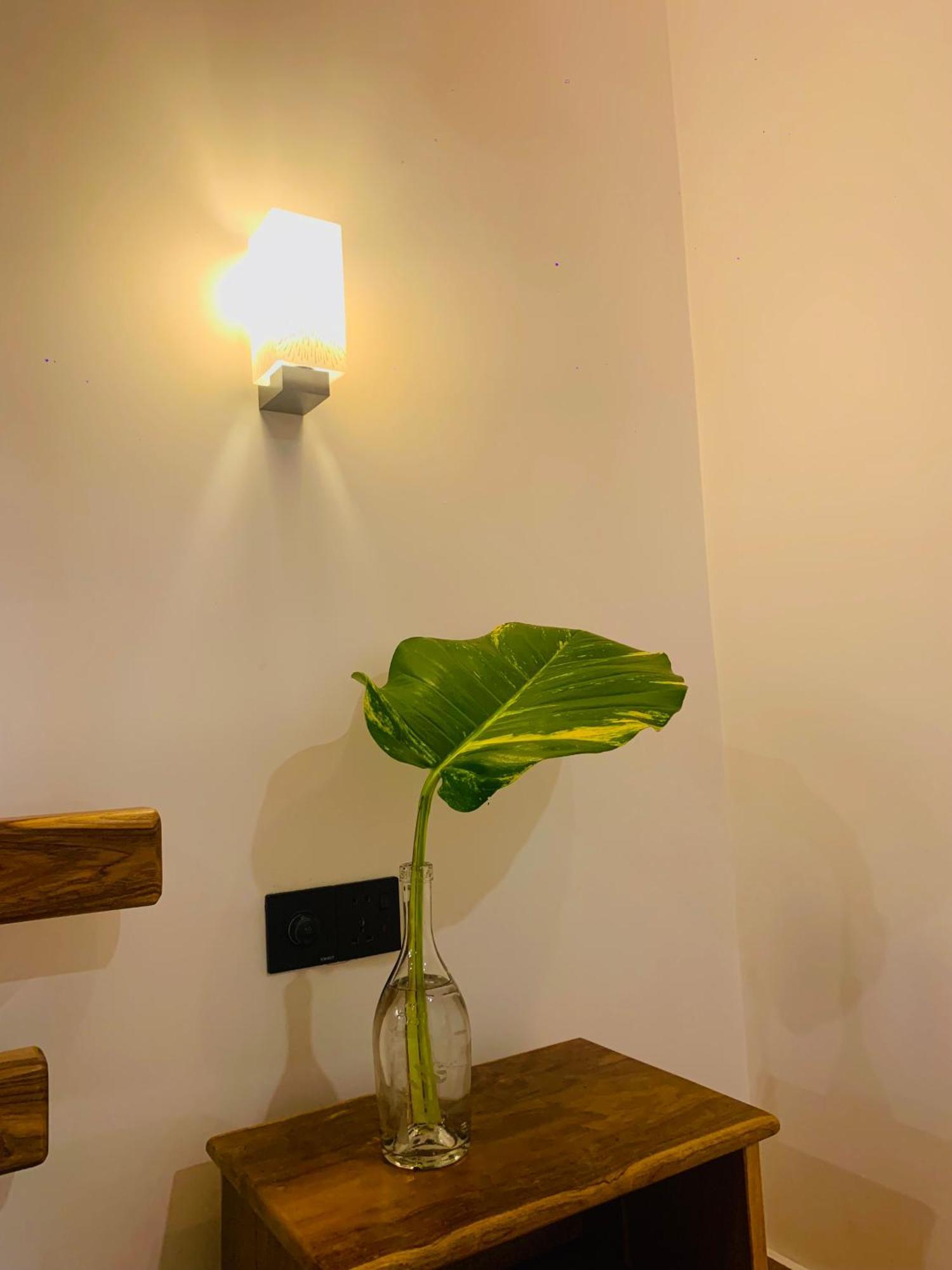 Breeze Bay Villa ディックウェラ エクステリア 写真